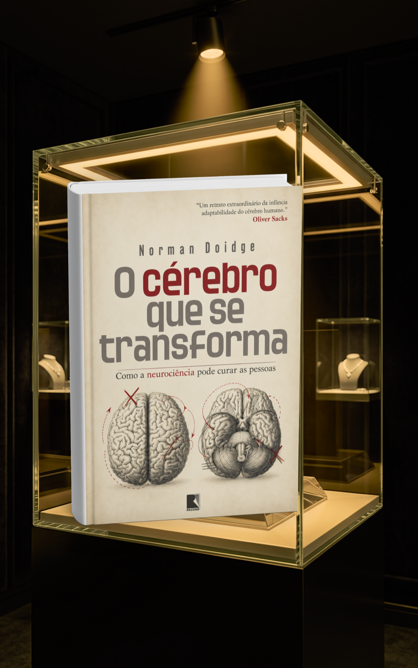 O cérebro que se transforma: Como a neurociência pode curar as pessoas